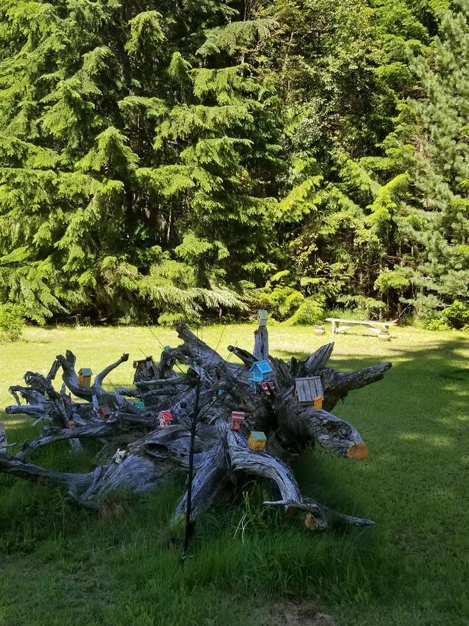 Mulvehill Creek Wilderness Inn And Wedding Chapel Revelstoke Exterior foto